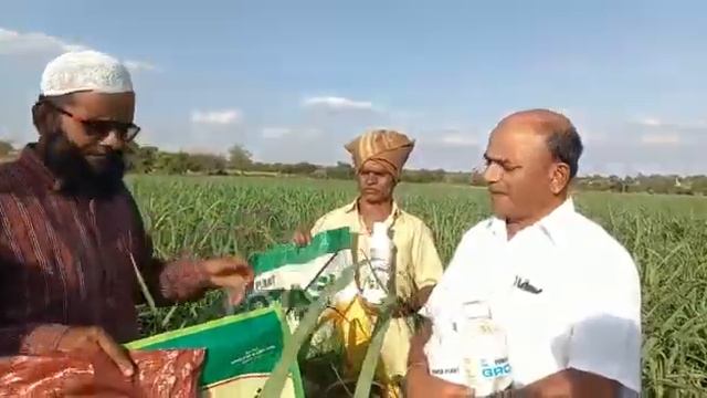 Green Planet Organic Product Best Result On Sugarcane #sugarcane Contact no 9731335351 смотреть онлайн