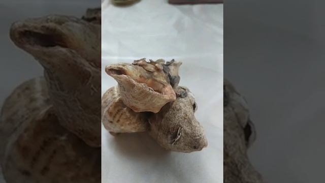 96.) От плохой энергии защита . смотреть онлайн