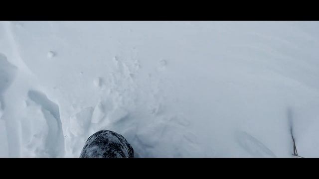 Набор линз/"объективов"для телефона.Макро,рыбий глаз(fisheye), широкоугольной(wide) съёмки с ОЗОН. смотреть онлайн