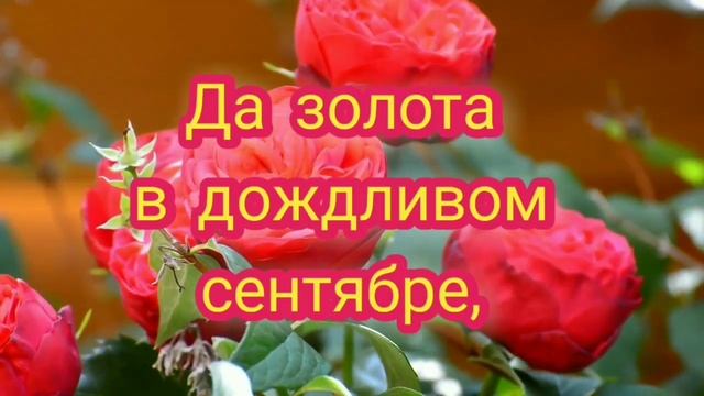 Дай Бог тебе добра и красоты... Красивые пожелания любимому человеку. смотреть онлайн