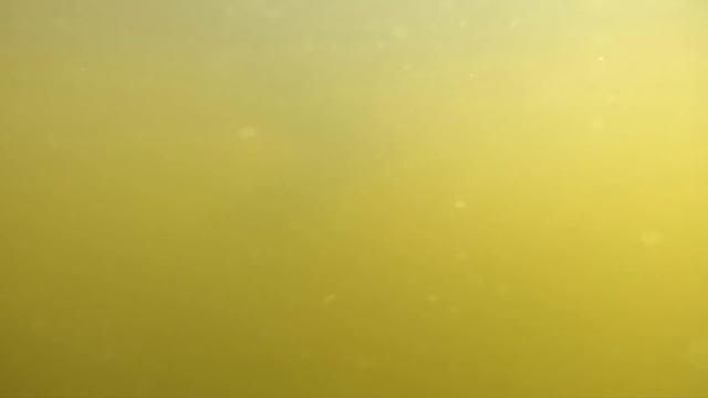 Твичинг под поверхностью / Daiwa CrossWake / Алексей Шанин смотреть онлайн