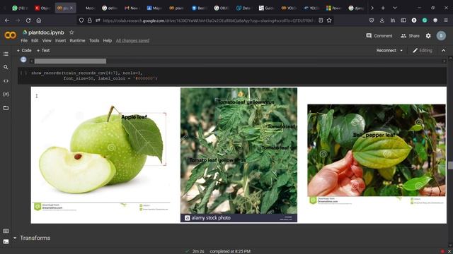 Plant Diseases Detection using YOLO | Deep Learning | AI in Agriculture смотреть онлайн