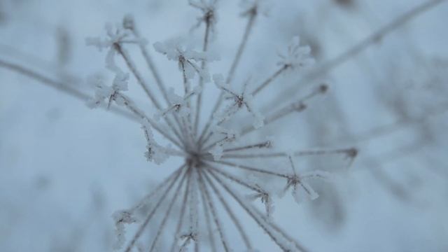 Зимний день в Светлогорске смотреть онлайн