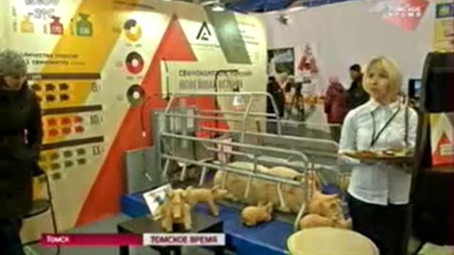 В Томске открылась главная аграрная выставка-ярмарка года «Золотая осень. Урожай-2015» смотреть онлайн