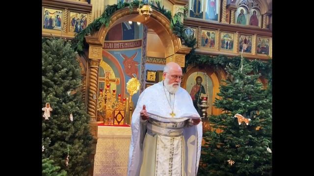 Неделя 30-я по Пятидесятнице, по Рождестве Христовом. смотреть онлайн