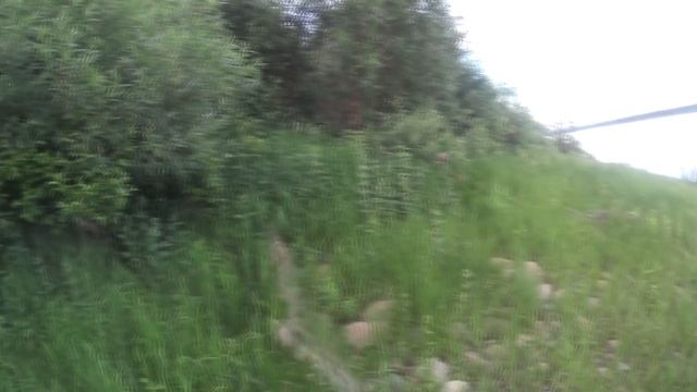 Рыбалка / Пятница 13 / Ловля на спиннинг / Рыбалка на удочку / Фидерная рыбалка / Щука / Окунь / Яз смотреть онлайн