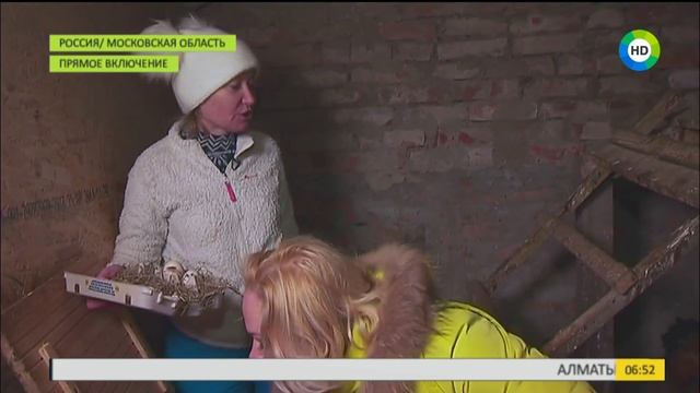 Кто сегодня "проснулся с первыми петухами", тот готовит яичницу! смотреть онлайн