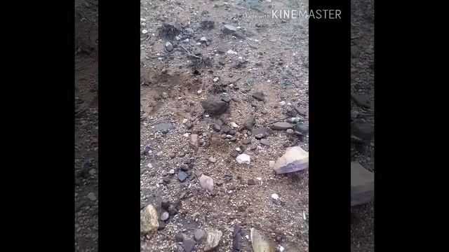 Caçada top com detector de metais MD 4060com direito a moeda do império смотреть онлайн