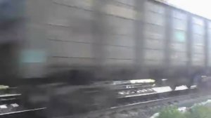 Первая охота на поезда. Станция "Киселиха" 24.07.2020 г.