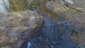 Шудья Пендыш 2021. Дорога до горы и подъём на вершину