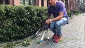 Формовочная стрижка живой изгороди