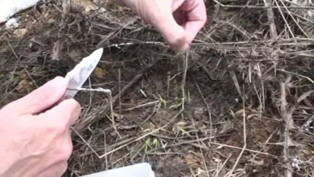 Myxomycetes en la comarca del Alto Palancia- Almedíjar смотреть онлайн