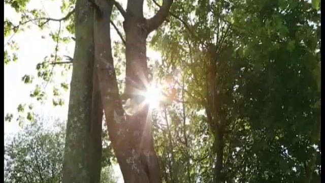 Прогулки по району: легенды Вереи – выпуск №2 2014 год. смотреть онлайн