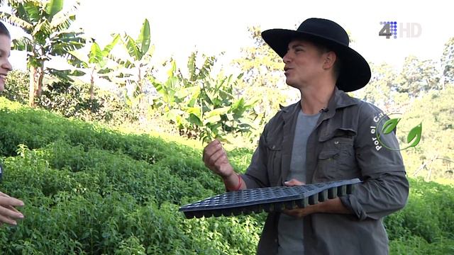 POR EL CAMPO CULTIVO DE STEVIA - ESTEVIA - PROGRAMA 1 DE 3 смотреть онлайн