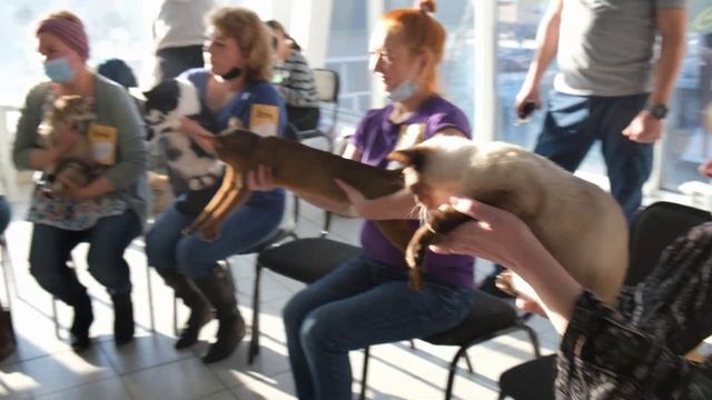 Наша первая поездка на ВЫСТАВКУ! г. Омск, клуб 