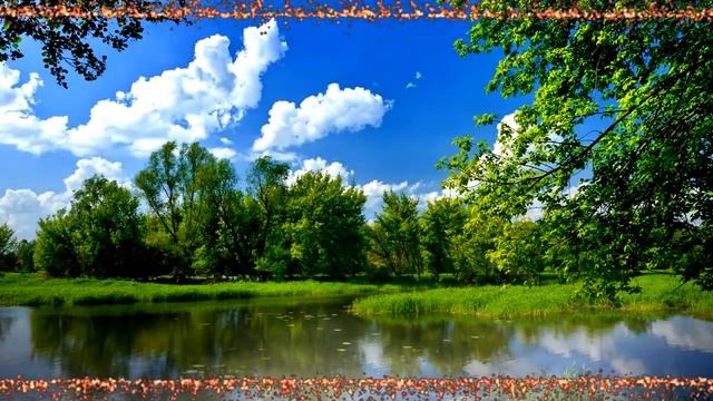 Е.Мартынов "ТЫ СКАЖИ, СКАЖИ МНЕ ВИШНЯ..." смотреть онлайн