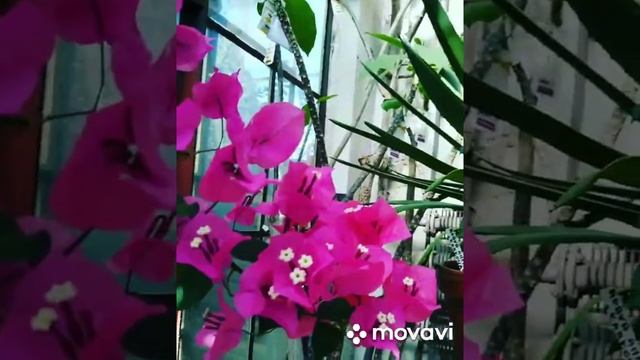 Моментальное открытие денежного потока. Медитация на деньги. Спокойная медитация. Денежная практика смотреть онлайн
