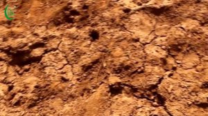 КТО ТЫ ТАКОЙ? - Мухаммад Хоблос