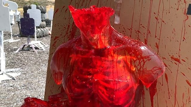 Taran's unofficial test with some of the most popular calibers w/ Ballistic Dummy Lab смотреть онлайн