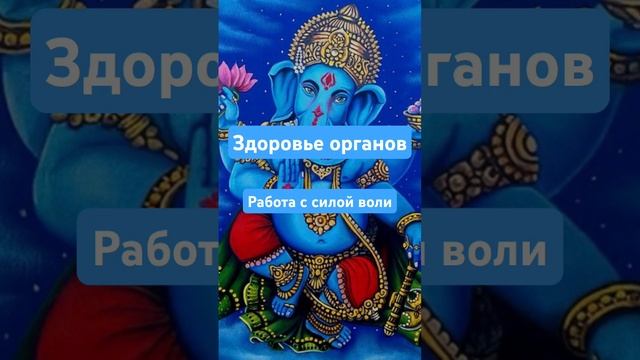 Здоровые органы- есть сила воли! #силавереска смотреть онлайн