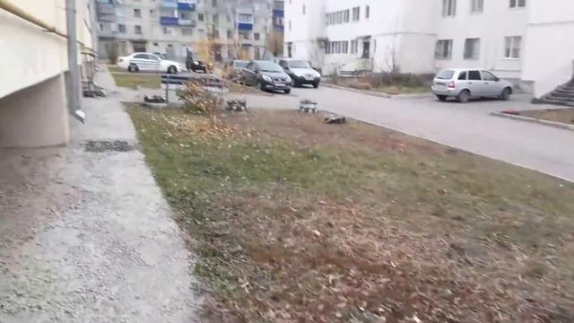 Бетонирование крыльца Финал Ленина 60а смотреть онлайн