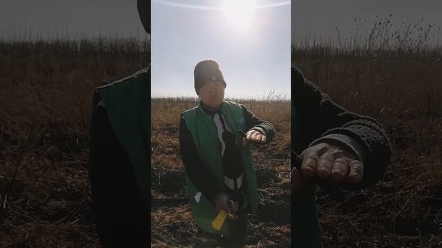Викопка саджанців винограду. Стандарти першого сорту у відео смотреть онлайн