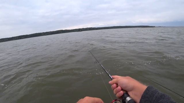 КОГДА БРЕВНО ОЖИЛО Я ОХРЕНЕЛ!!! РЫБАЛКА НА ВИЛЕЙСКОМ ВОДОХРАНИЛИЩЕ! смотреть онлайн