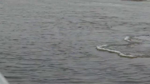 Экстримальный вояж по реке Конда. Кондинский район ХМАО на лодке. Трофеи охоты. смотреть онлайн