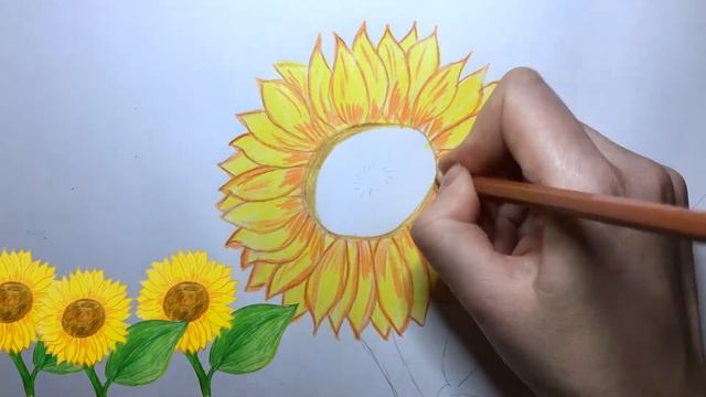 Как нарисовать подсолнух / How to draw a sunflower / Рисуем с детьми смотреть онлайн