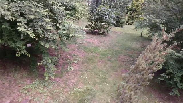 Ботанический сад: Растения Европы смотреть онлайн
