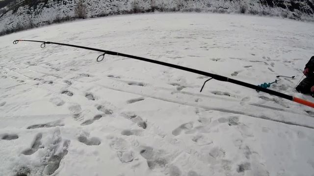ШОК!!! СУДАК ЛУПИТ ТОЛЬКО НА ЭТОТ ВИБ!!! ЖЕСТЬ!!! РЫБАЛКА НА СУДАКА ЗИМОЙ смотреть онлайн