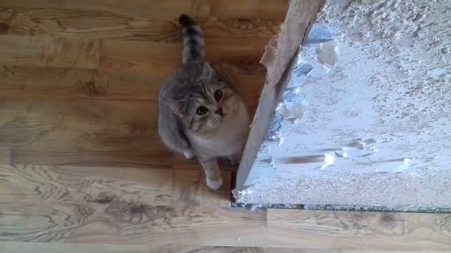 Чуть-чуть не остался без телефона. смотреть онлайн