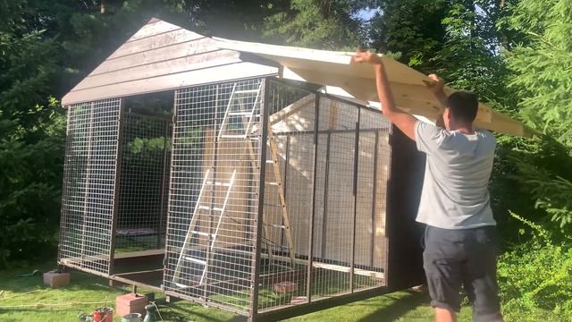 Домик для кота, уличный вольер для кота породы Мейн-кун смотреть онлайн