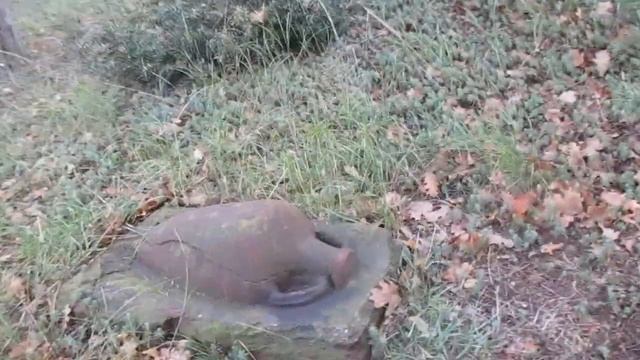 Античный некрополь и можжевеловая роща в парке Харакс смотреть онлайн