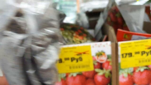 Купил рассаду клубники в OBI. Посмотрим что вырастит? смотреть онлайн