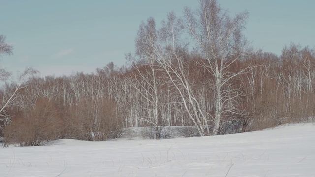Как провести выходные? Автопутешествие Autotourist.kz. смотреть онлайн