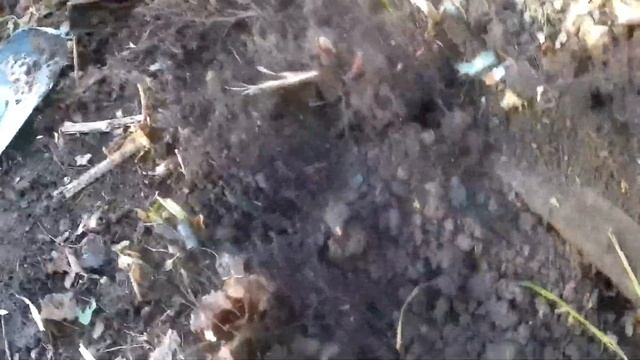 Новый трак, наступил на трак в лесу, металлокоп смотреть онлайн