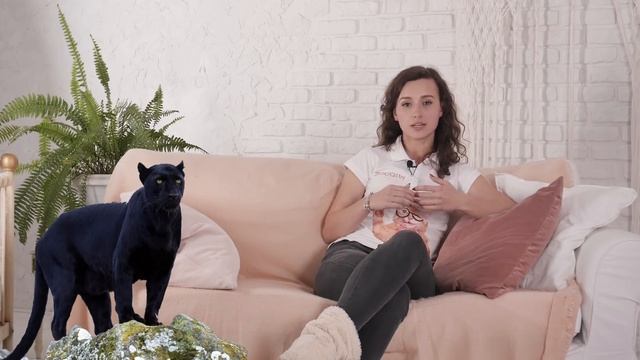 ZOOQI SHOW: КАК СКАЗАТЬ КОШКЕ, ЧТО ВЫ ЕЁ ЛЮБИТЕ? смотреть онлайн