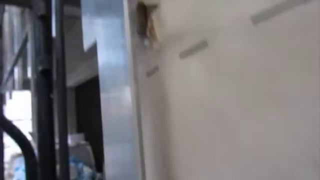 вилла Ирина, проверка гидроизоляции элеметов фасада 28.11.14