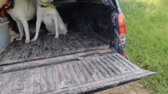 Троица даёт жару на реке смотреть онлайн