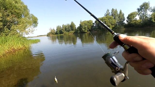 Окунь оценил тейл-спиннер с aliexpress смотреть онлайн