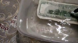 Как очистить доллары от плесени? Самый лучший способ!