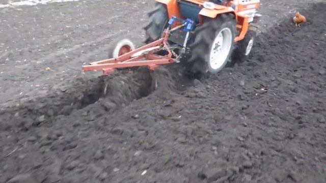 Пахота мини-трактором KUBOTA 1600 смотреть онлайн