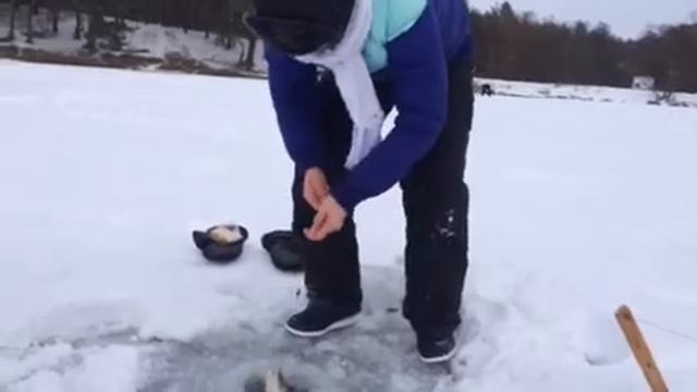 Ловля щуки (зимняя рыбалка) озеро Трофейное