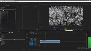 Делаем Черно Белое Видео в Premiere Pro
