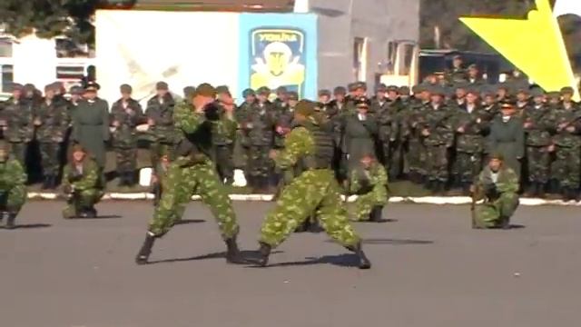 Показательное выступление РДР смотреть онлайн