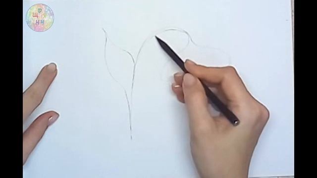 Біоніка як джерело ідей промислового дизайну. Образотворче мистецтво. Дистанційне навчання. 7 клас смотреть онлайн