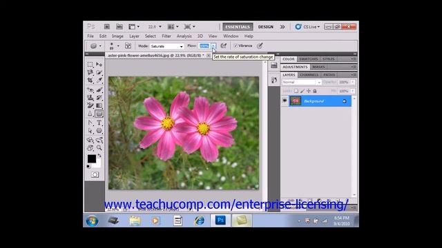 Photoshop CS6 Tutorial The Sponge Tool Adobe Training смотреть онлайн