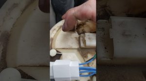 не качает бензонасос рено меган 2
