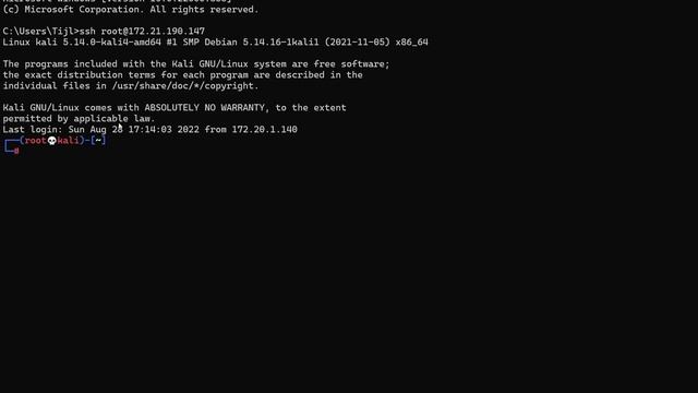 [Eng] EP4 - VMware Enumeration script - CVE-2021-22005 exploitation demo смотреть онлайн